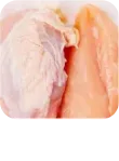 こだわりの23種
