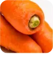 こだわりの23種