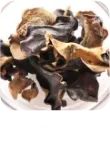 こだわりの23種