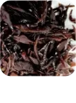 こだわりの23種