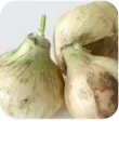 こだわりの23種